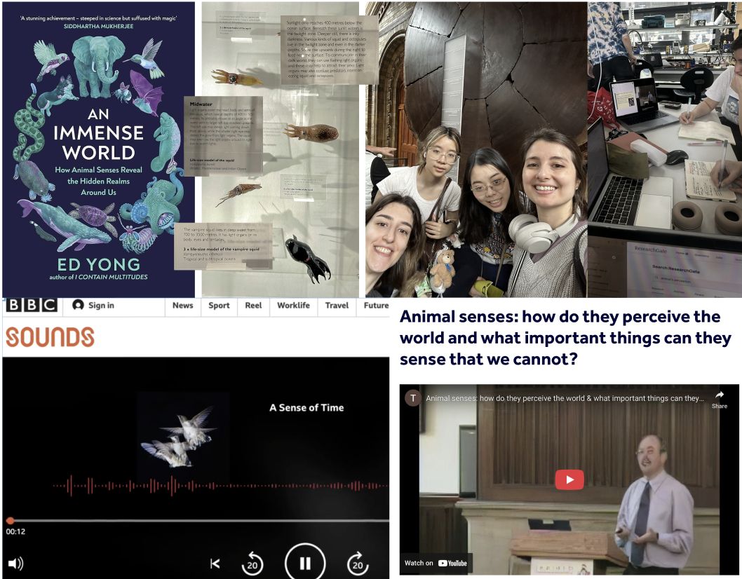 Research collage — books, museum visits and animal-senses media