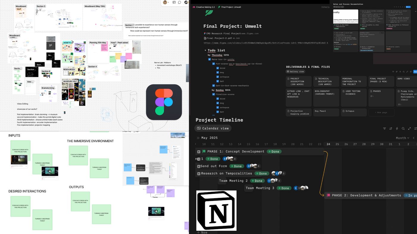 Planning boards in FigJam and Notion